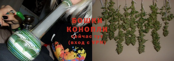 гашик Каменка