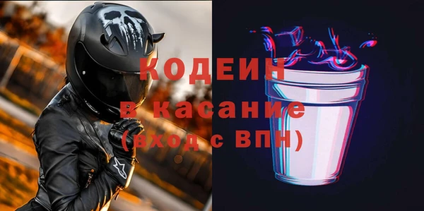 гашик Каменка