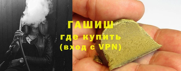 гашик Каменка