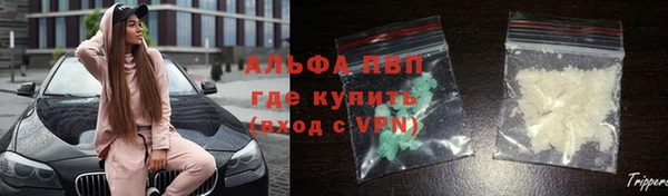гашик Каменка