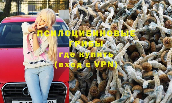 гашик Каменногорск