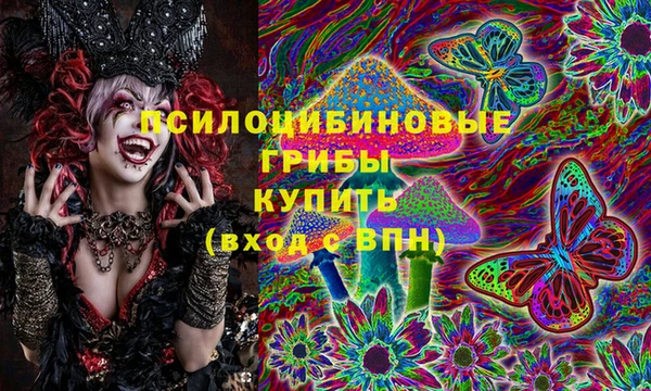 бутират Переславль-Залесский