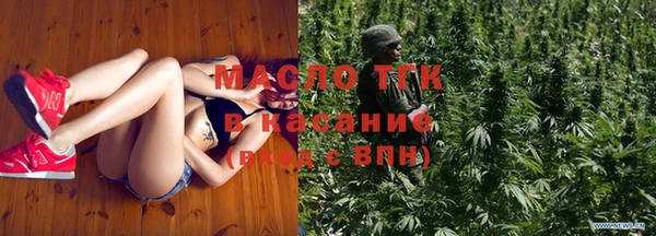 гашик Каменногорск