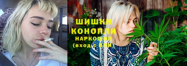 гашик Каменка