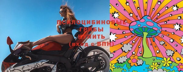 гашик Каменногорск