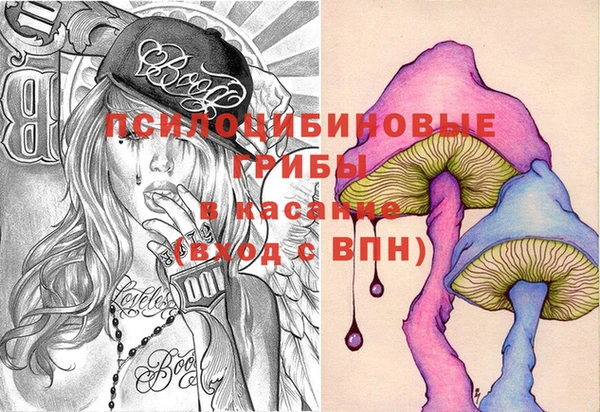 гашик Каменногорск