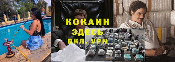 гашик Каменка