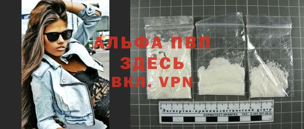гашик Каменка