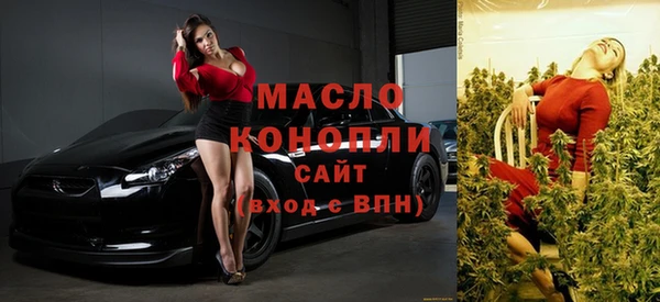 гашик Каменка