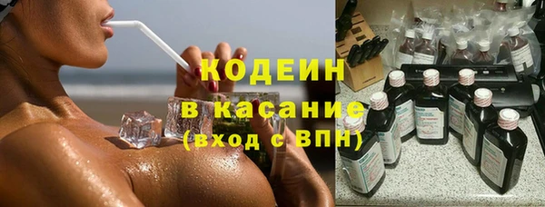 гашик Каменка