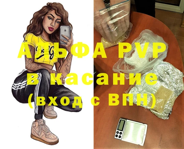 гашик Каменногорск