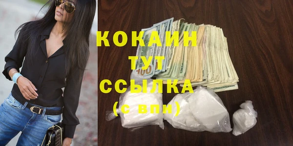 гашик Каменка