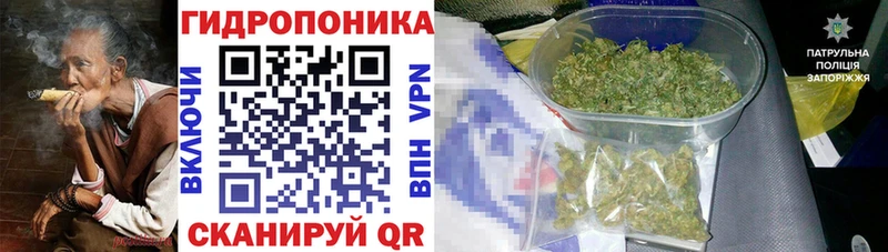 Купить  Дальнереченск  Бошки Шишки гибрид 